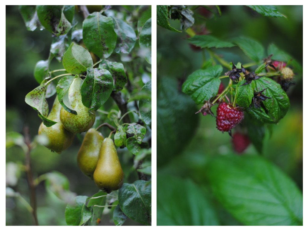 pizap.com14431844619861