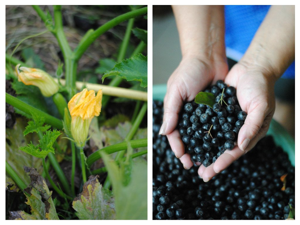 pizap.com14431844939201