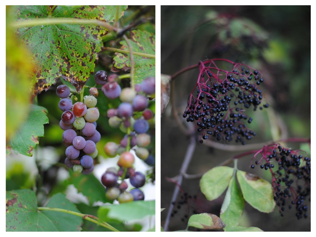 pizap.com14431845251211