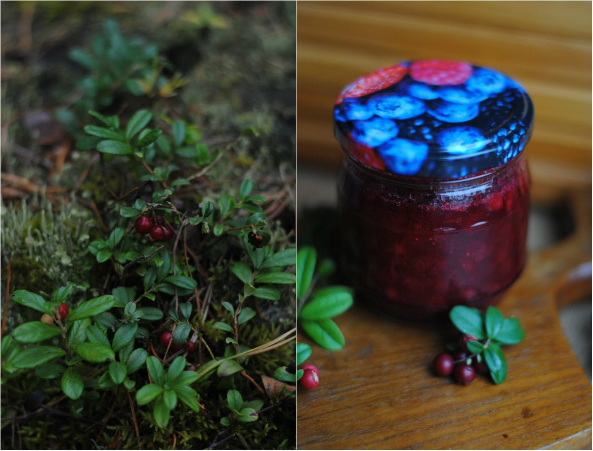 żurawina do słoików na zimę