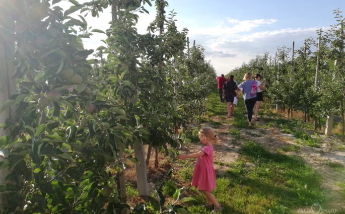 Warecki Szlak Jabłkowy