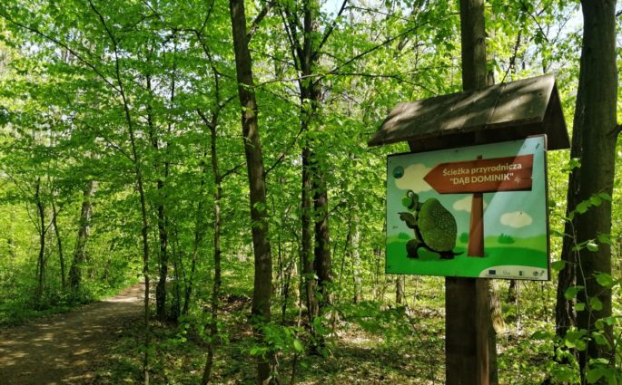 Ścieżka Dąb Dominik